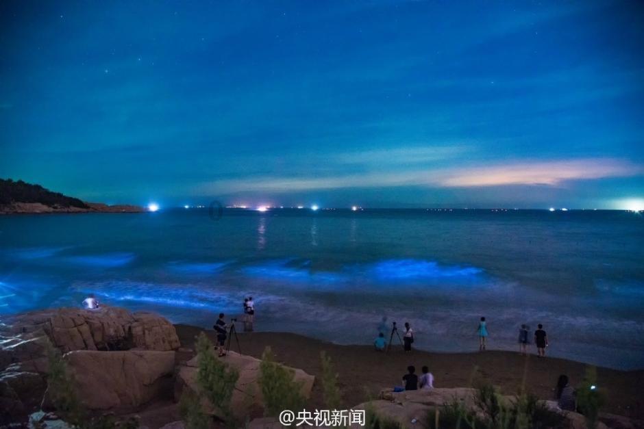 QQ企鹅