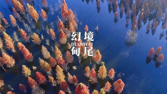 双人碰碰车3D1.2